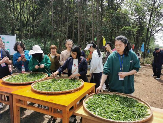 “继网开来·链动怀化——品千年贡茶·话茶乡振兴”网宣活动。